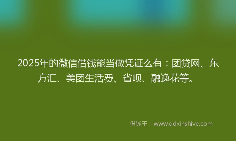 2025年的微信借钱能当做凭证么有：团贷网、东方汇、美团生活费、省呗、融逸花等。