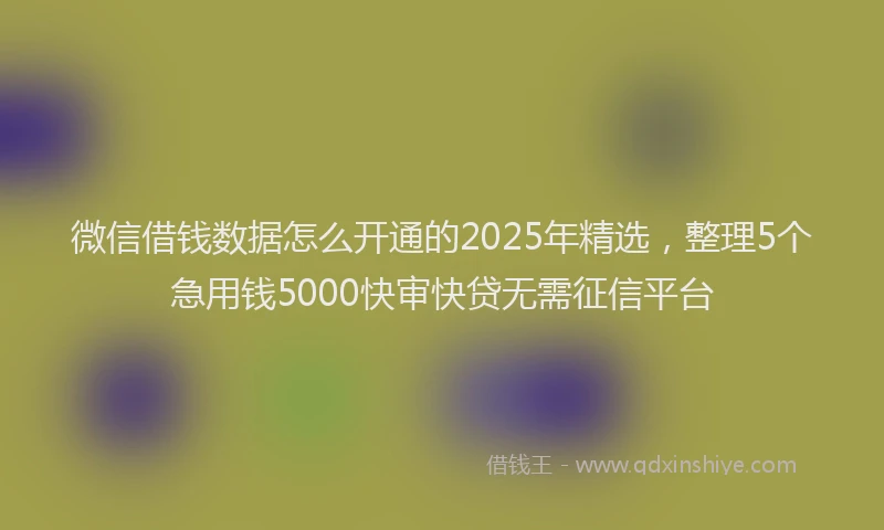微信借钱数据怎么开通的2025年精选，整理5个急用钱5000快审快贷无需征信平台