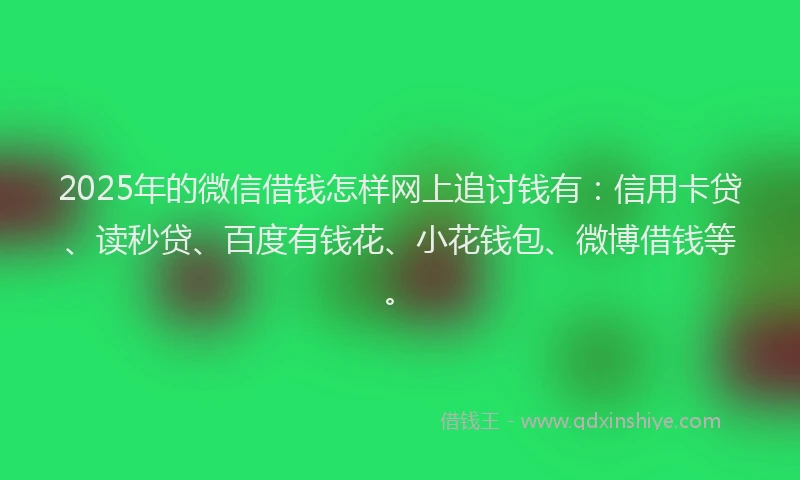 2025年的微信借钱怎样网上追讨钱有：信用卡贷、读秒贷、百度有钱花、小花钱包、微博借钱等。