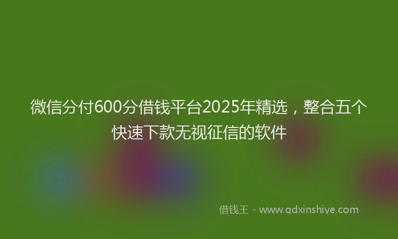 微信分付600分借钱平台2025年精选，整合五个快速下款无视征信的软件