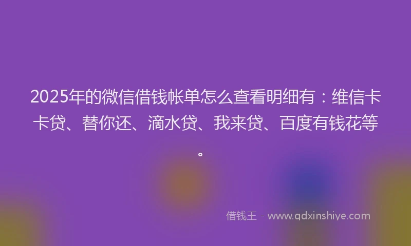 2025年的微信借钱帐单怎么查看明细有：维信卡卡贷、替你还、滴水贷、我来贷、百度有钱花等。