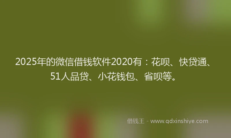 2025年的微信借钱软件2020有：花呗、快贷通、51人品贷、小花钱包、省呗等。
