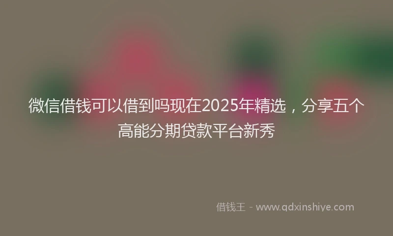 微信借钱可以借到吗现在2025年精选，分享五个高能分期贷款平台新秀