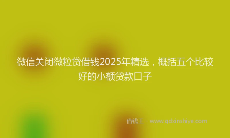 微信关闭微粒贷借钱2025年精选，概括五个比较好的小额贷款口子