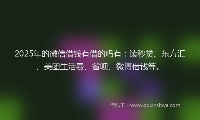 2025年的微信借钱有借的吗有：读秒贷、东方汇、美团生活费、省呗、微博借钱等。