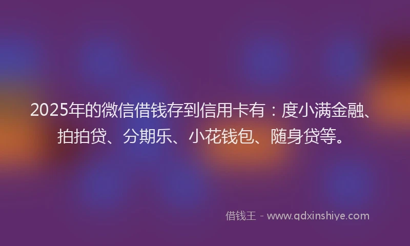 2025年的微信借钱存到信用卡有：度小满金融、拍拍贷、分期乐、小花钱包、随身贷等。
