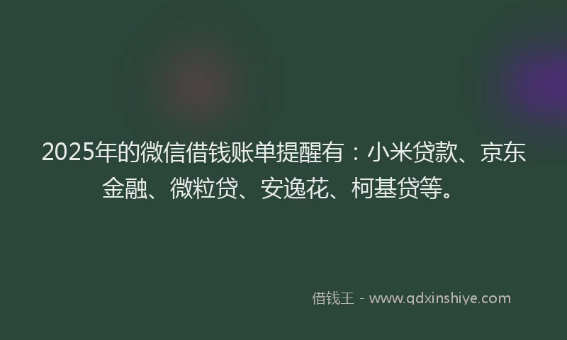 2025年的微信借钱账单提醒有：小米贷款、京东金融、微粒贷、安逸花、柯基贷等。