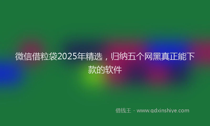 微信借粒袋2025年精选，归纳五个网黑真正能下款的软件