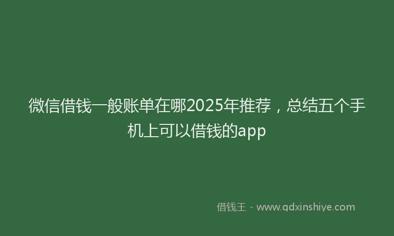 微信借钱一般账单在哪2025年推荐，总结五个手机上可以借钱的app