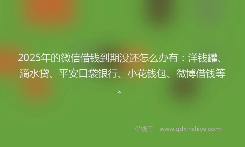 2025年的微信借钱到期没还怎么办有：洋钱罐、滴水贷、平安口袋银行、小花钱包、微博借钱等。