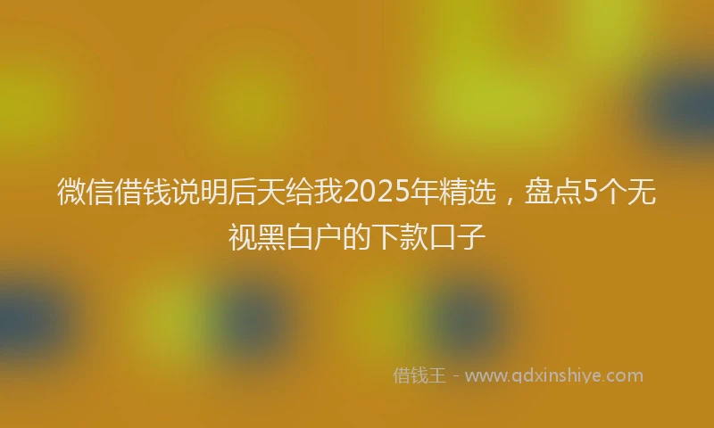 微信借钱说明后天给我2025年精选，盘点5个无视黑白户的下款口子