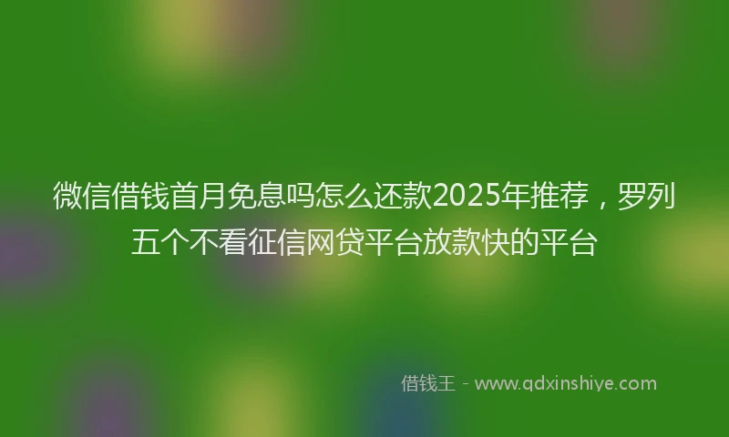 微信借钱首月免息吗怎么还款2025年推荐，罗列五个不看征信网贷平台放款快的平台
