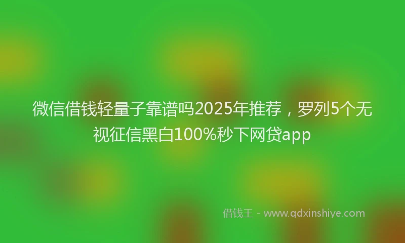 微信借钱轻量子靠谱吗2025年推荐，罗列5个无视征信黑白100%秒下网贷app