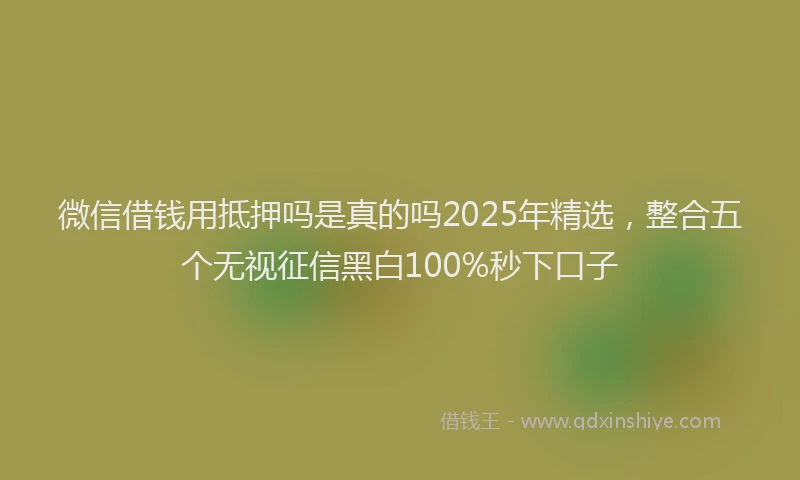 微信借钱用抵押吗是真的吗2025年精选，整合五个无视征信黑白100%秒下口子