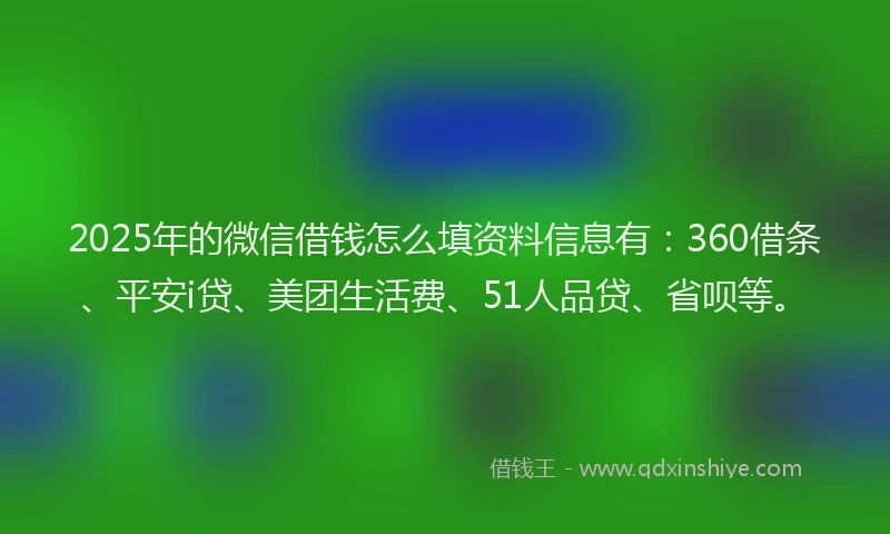 2025年的微信借钱怎么填资料信息有：360借条、平安i贷、美团生活费、51人品贷、省呗等。