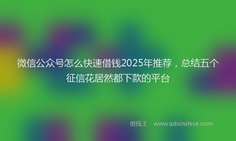 微信公众号怎么快速借钱2025年推荐，总结五个征信花居然都下款的平台