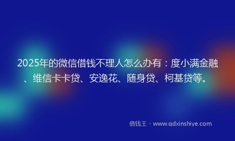 2025年的微信借钱不理人怎么办有：度小满金融、维信卡卡贷、安逸花、随身贷、柯基贷等。