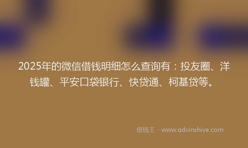 2025年的微信借钱明细怎么查询有：投友圈、洋钱罐、平安口袋银行、快贷通、柯基贷等。