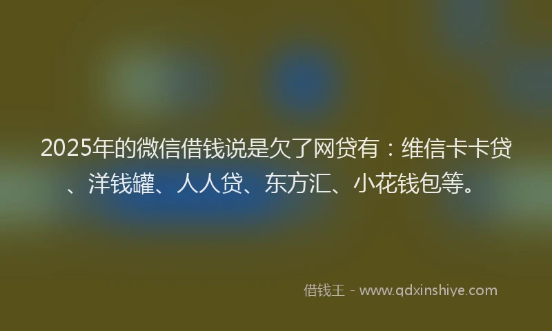 2025年的微信借钱说是欠了网贷有：维信卡卡贷、洋钱罐、人人贷、东方汇、小花钱包等。