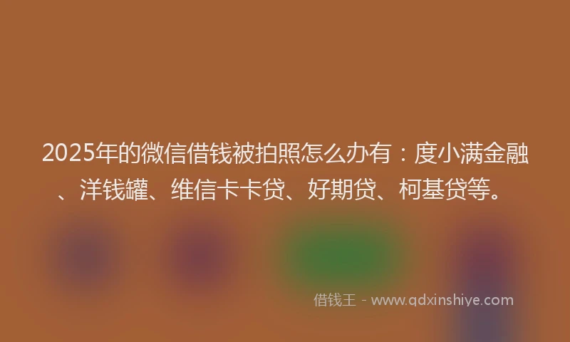 2025年的微信借钱被拍照怎么办有：度小满金融、洋钱罐、维信卡卡贷、好期贷、柯基贷等。
