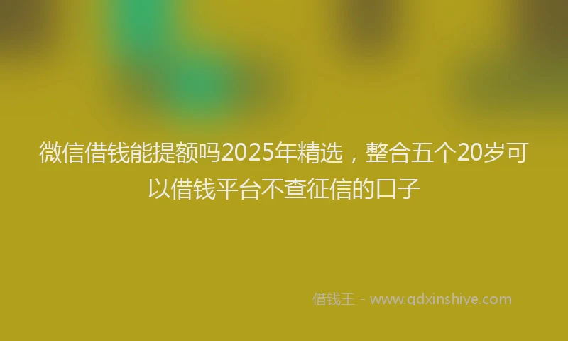 微信借钱能提额吗2025年精选，整合五个20岁可以借钱平台不查征信的口子