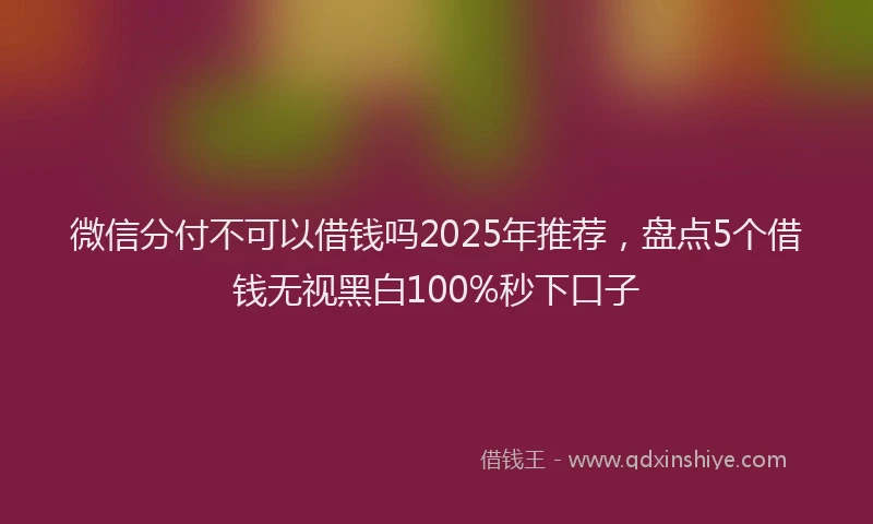 微信分付不可以借钱吗2025年推荐，盘点5个借钱无视黑白100%秒下口子
