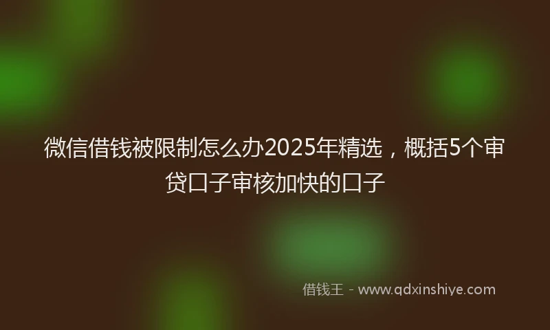 微信借钱被限制怎么办2025年精选，概括5个审贷口子审核加快的口子