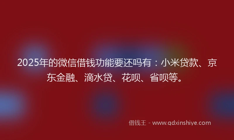 2025年的微信借钱功能要还吗有：小米贷款、京东金融、滴水贷、花呗、省呗等。