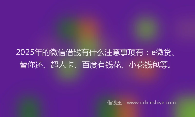 2025年的微信借钱有什么注意事项有：e微贷、替你还、超人卡、百度有钱花、小花钱包等。