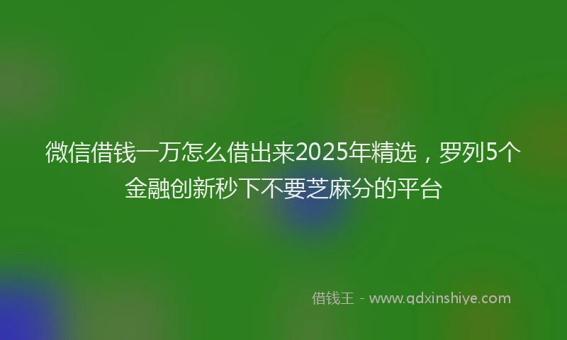 微信借钱一万怎么借出来2025年精选，罗列5个金融创新秒下不要芝麻分的平台