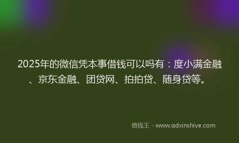 2025年的微信凭本事借钱可以吗有：度小满金融、京东金融、团贷网、拍拍贷、随身贷等。