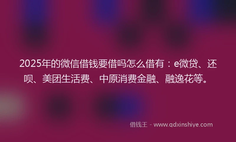 2025年的微信借钱要借吗怎么借有：e微贷、还呗、美团生活费、中原消费金融、融逸花等。