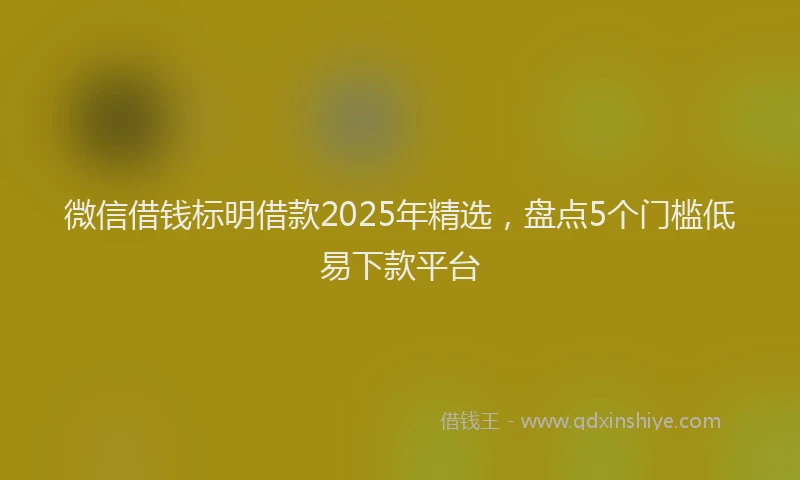 微信借钱标明借款2025年精选，盘点5个门槛低易下款平台