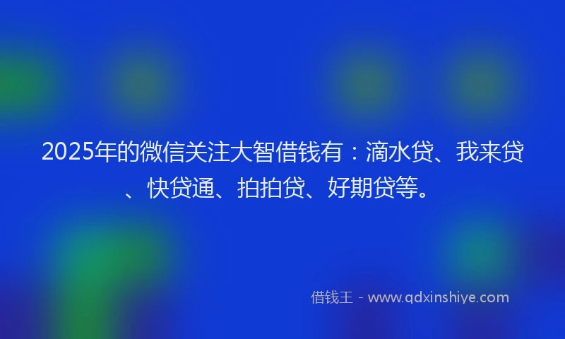 2025年的微信关注大智借钱有：滴水贷、我来贷、快贷通、拍拍贷、好期贷等。