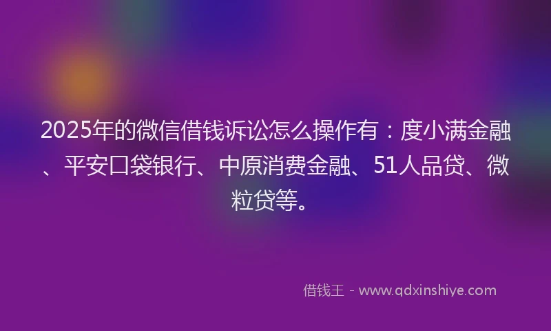 2025年的微信借钱诉讼怎么操作有：度小满金融、平安口袋银行、中原消费金融、51人品贷、微粒贷等。