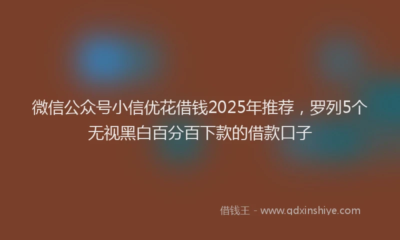 微信公众号小信优花借钱2025年推荐，罗列5个无视黑白百分百下款的借款口子