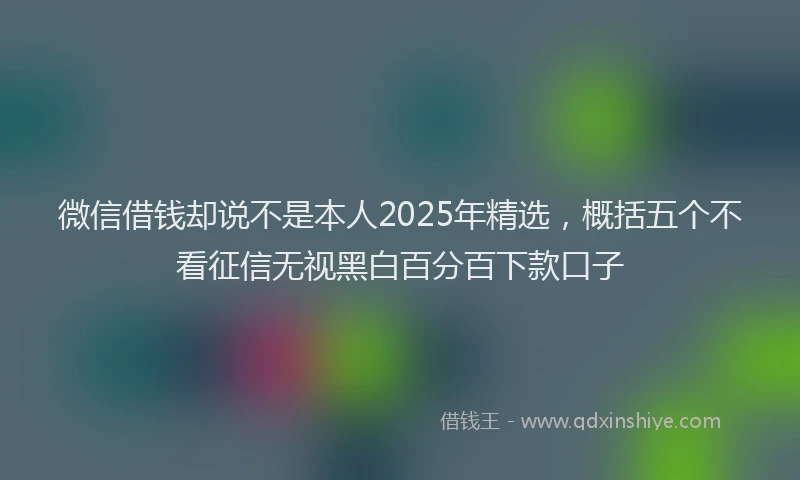 微信借钱却说不是本人2025年精选，概括五个不看征信无视黑白百分百下款口子