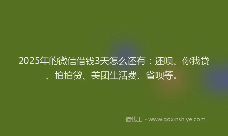 2025年的微信借钱3天怎么还有：还呗、你我贷、拍拍贷、美团生活费、省呗等。