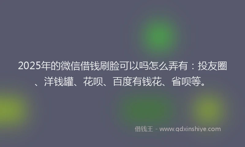 2025年的微信借钱刷脸可以吗怎么弄有：投友圈、洋钱罐、花呗、百度有钱花、省呗等。