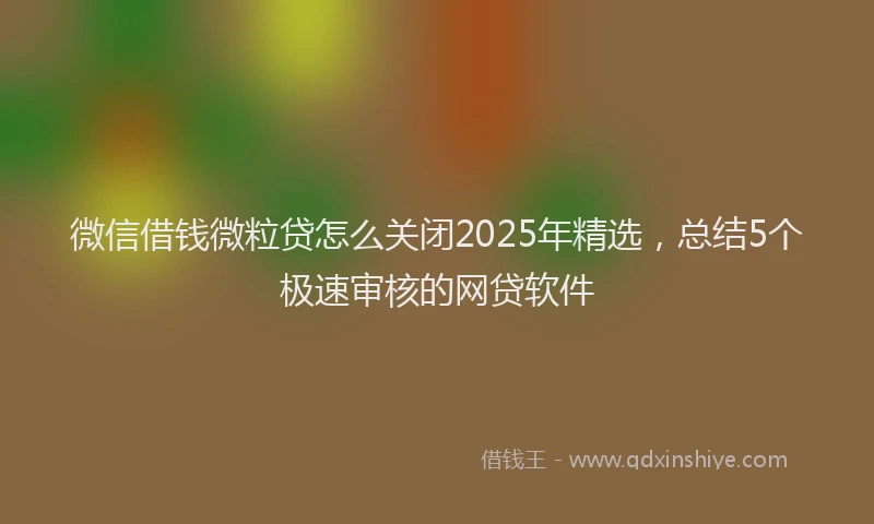 微信借钱微粒贷怎么关闭2025年精选，总结5个极速审核的网贷软件