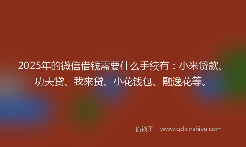 2025年的微信借钱需要什么手续有：小米贷款、功夫贷、我来贷、小花钱包、融逸花等。