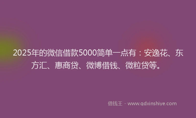 2025年的微信借款5000简单一点有：安逸花、东方汇、惠商贷、微博借钱、微粒贷等。