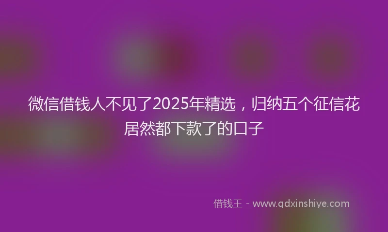 微信借钱人不见了2025年精选，归纳五个征信花居然都下款了的口子