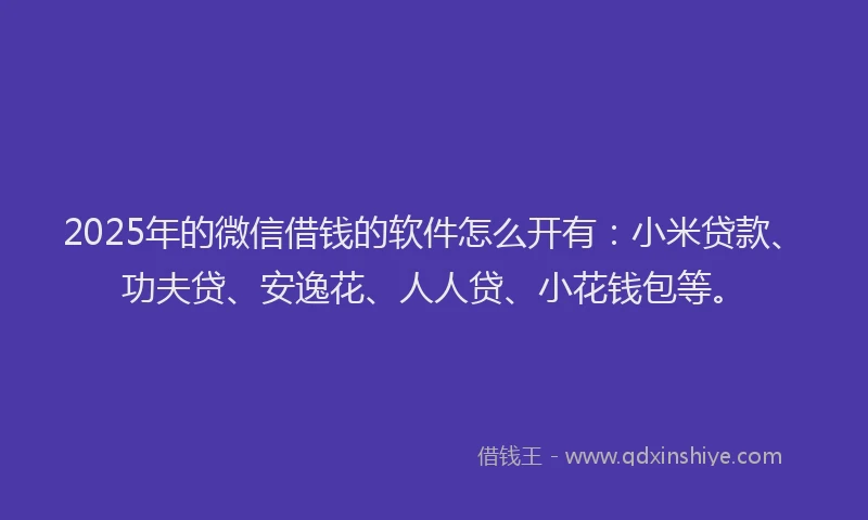 2025年的微信借钱的软件怎么开有：小米贷款、功夫贷、安逸花、人人贷、小花钱包等。