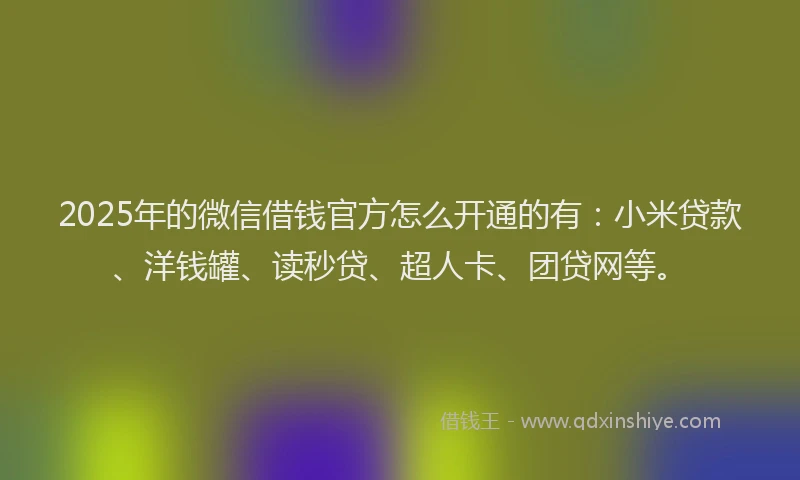 2025年的微信借钱官方怎么开通的有：小米贷款、洋钱罐、读秒贷、超人卡、团贷网等。