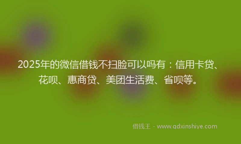 2025年的微信借钱不扫脸可以吗有：信用卡贷、花呗、惠商贷、美团生活费、省呗等。