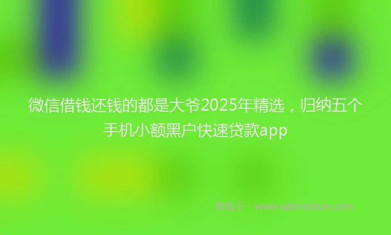 微信借钱还钱的都是大爷2025年精选，归纳五个手机小额黑户快速贷款app