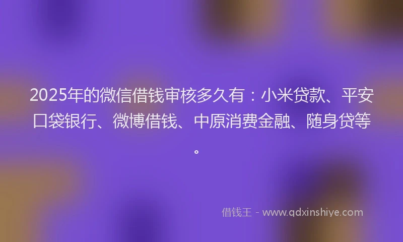 2025年的微信借钱审核多久有：小米贷款、平安口袋银行、微博借钱、中原消费金融、随身贷等。