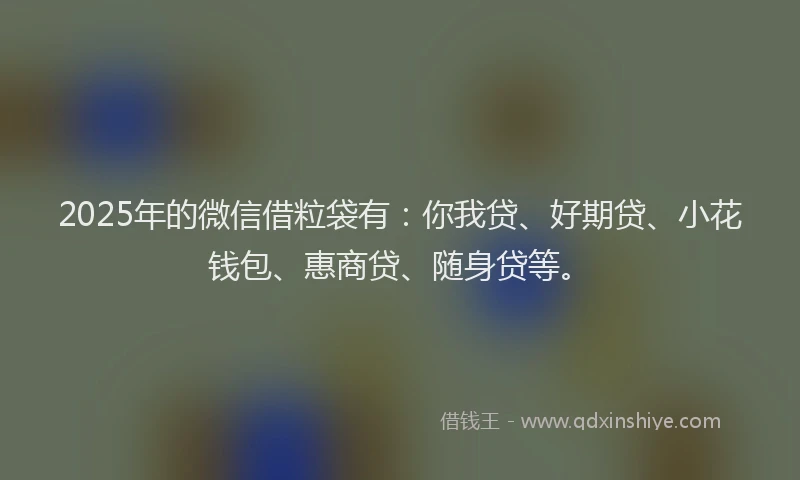 2025年的微信借粒袋有：你我贷、好期贷、小花钱包、惠商贷、随身贷等。