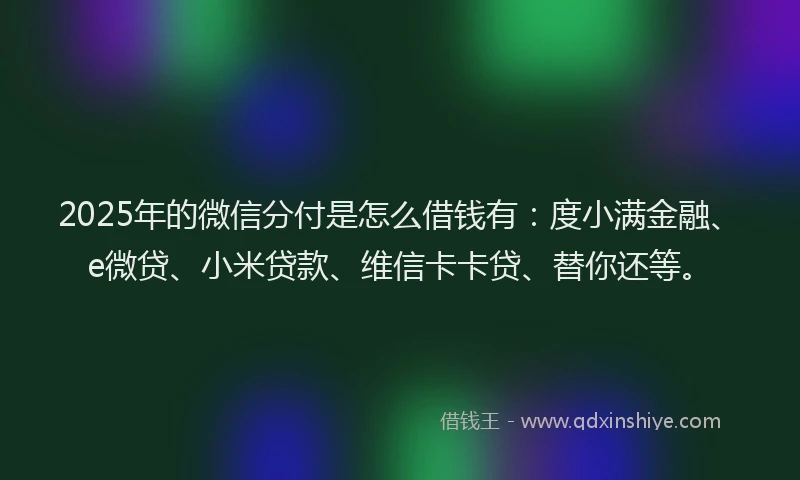 2025年的微信分付是怎么借钱有：度小满金融、e微贷、小米贷款、维信卡卡贷、替你还等。